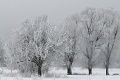 Pory Roku-Zima - Seasons-Winter